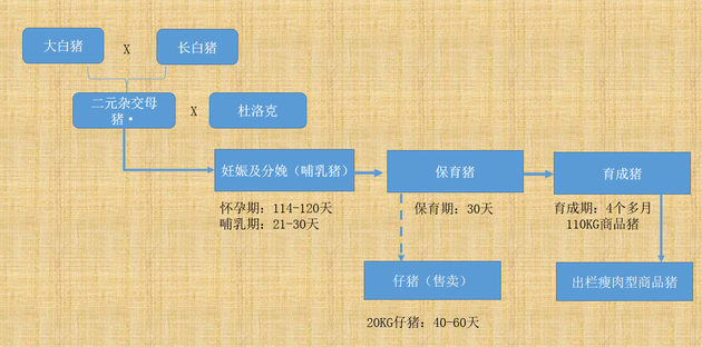 雏鹰农牧刷新了养猪的认知,饲料供应不及时猪被饿死了? 行业案例 雏鹰农牧刷新了养猪的认知,饲料供应不及时猪被饿死了? 行业案例