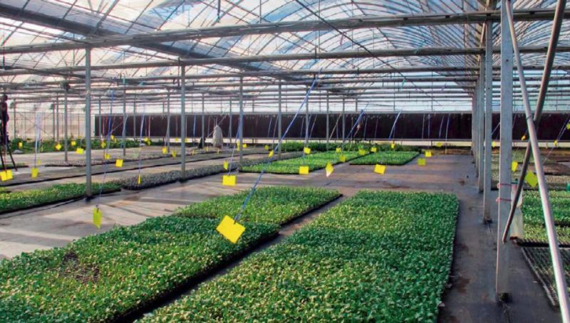 产品追溯技术发展趋势 好文收藏 第4张 产品追溯技术发展趋势 好文收藏 第4张