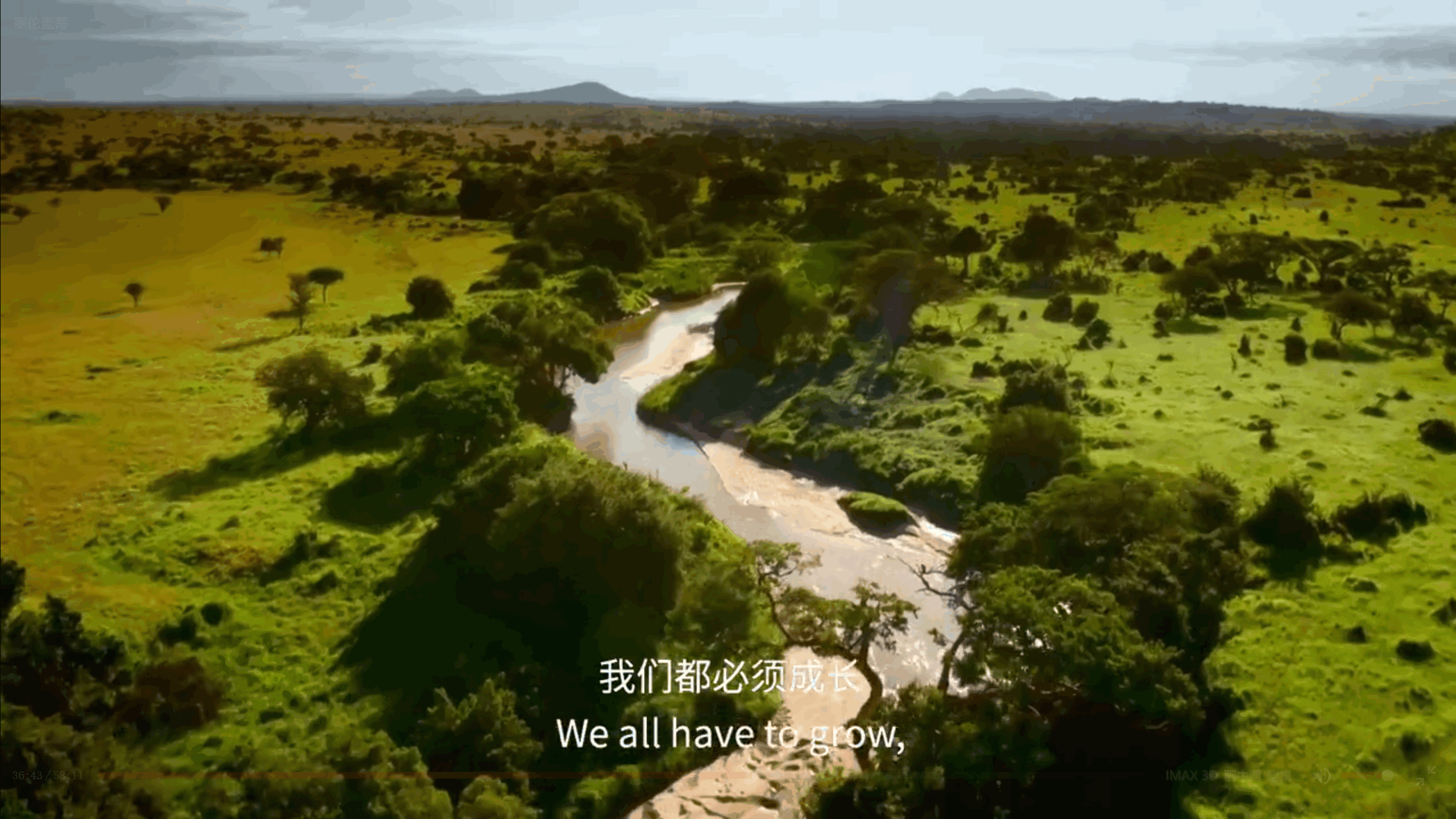 BBC纪录片《塞伦盖蒂》中的经典解说词 职场进化 第10张 BBC纪录片《塞伦盖蒂》中的经典解说词 职场进化 第10张