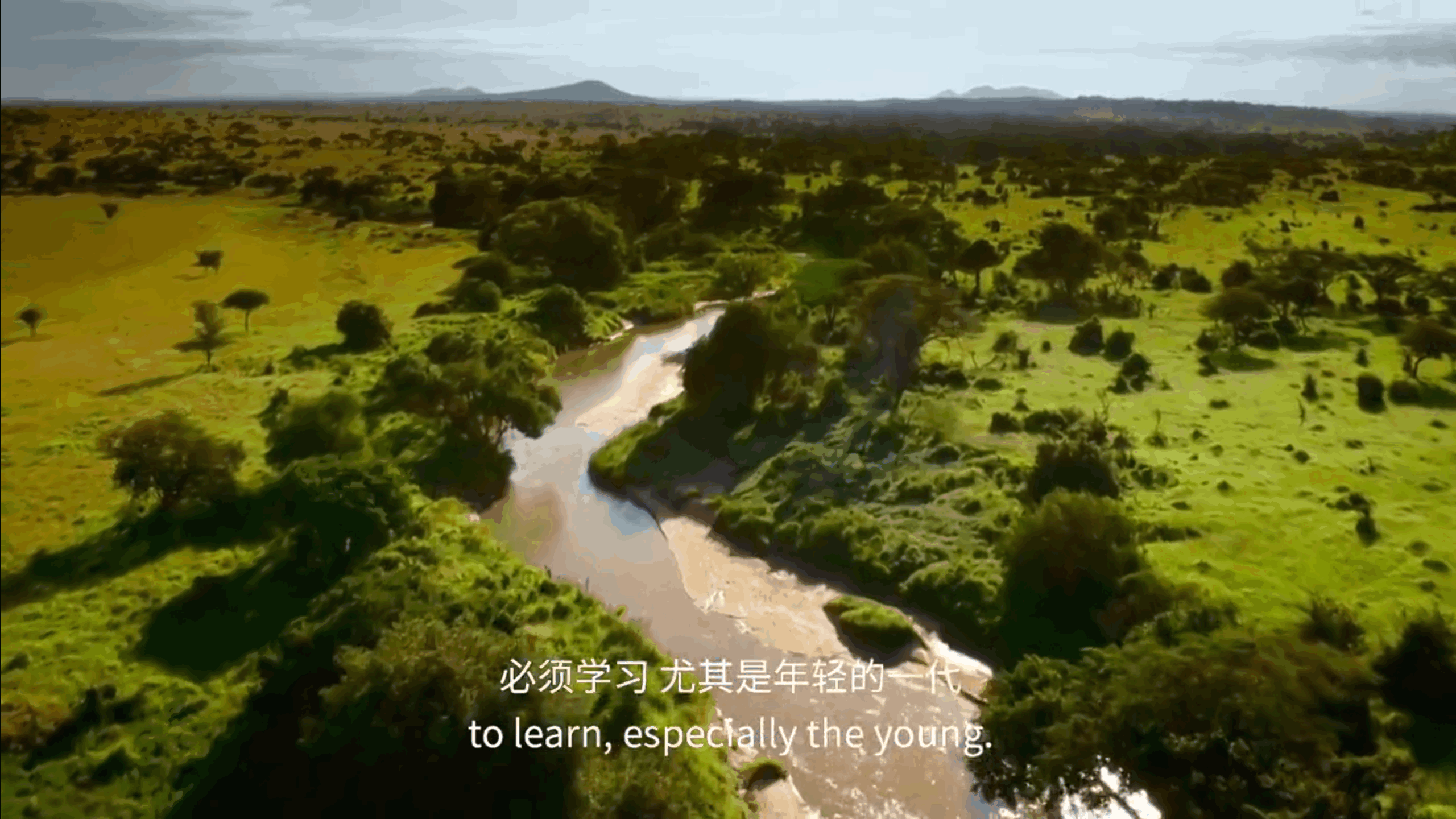 BBC纪录片《塞伦盖蒂》中的经典解说词 职场进化 第11张 BBC纪录片《塞伦盖蒂》中的经典解说词 职场进化 第11张