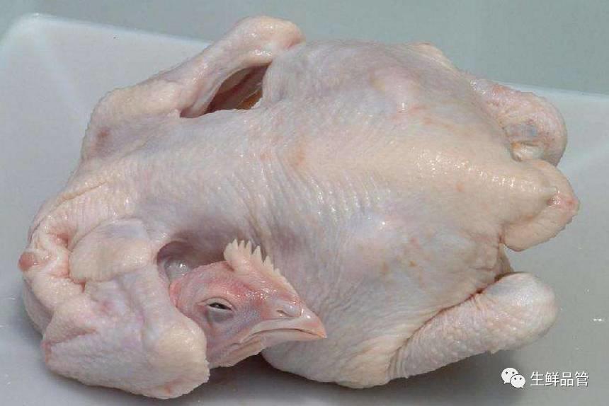 禽肉类产品储存技术标准 好文收藏 禽肉类产品储存技术标准 好文收藏