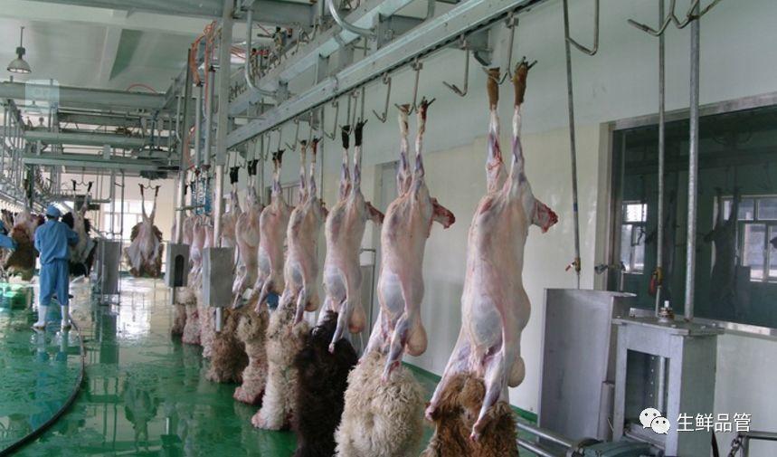 肉羊屠宰检疫规程