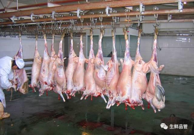 肉羊屠宰加工工艺详解 行业案例 肉羊屠宰加工工艺详解 行业案例