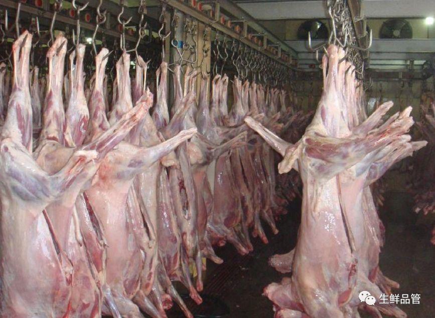 羊屠宰加工流程 行业案例 羊屠宰加工流程 行业案例