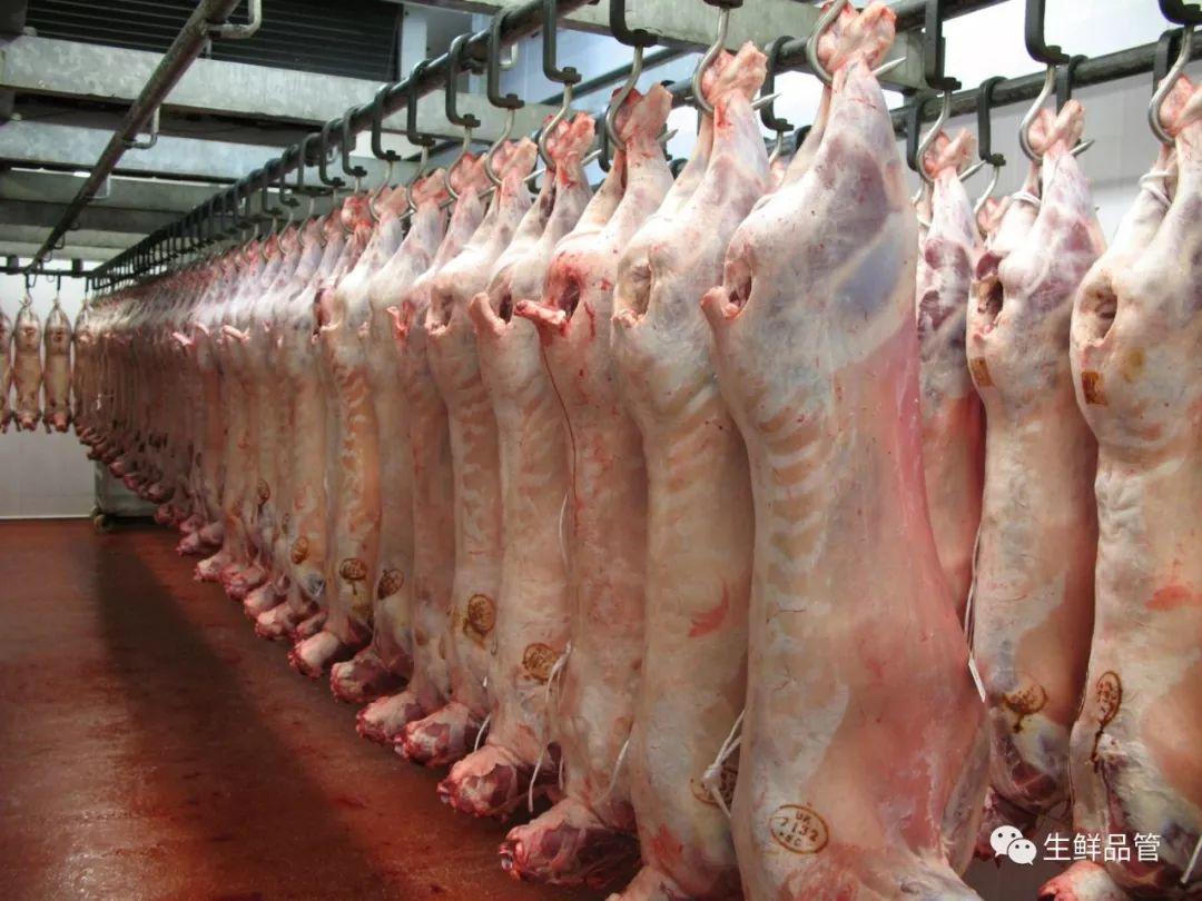 羊肉胴体分级标准概要 行业案例 羊肉胴体分级标准概要 行业案例