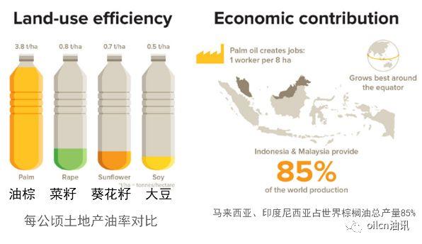 【转载】油王称霸录:为什么棕榈油近几十年突然发展起来? 行业案例 第8张 【转载】油王称霸录:为什么棕榈油近几十年突然发展起来? 行业案例 第8张