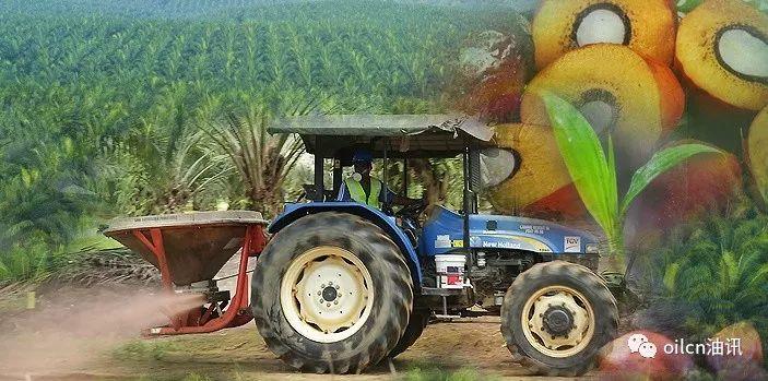 【转载】油王称霸录:为什么棕榈油近几十年突然发展起来? 行业案例 第7张 【转载】油王称霸录:为什么棕榈油近几十年突然发展起来? 行业案例 第7张