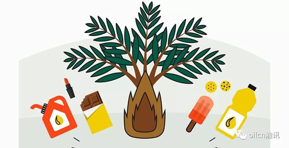 【转载】油王称霸录:为什么棕榈油近几十年突然发展起来? 行业案例 第12张 【转载】油王称霸录:为什么棕榈油近几十年突然发展起来? 行业案例 第12张