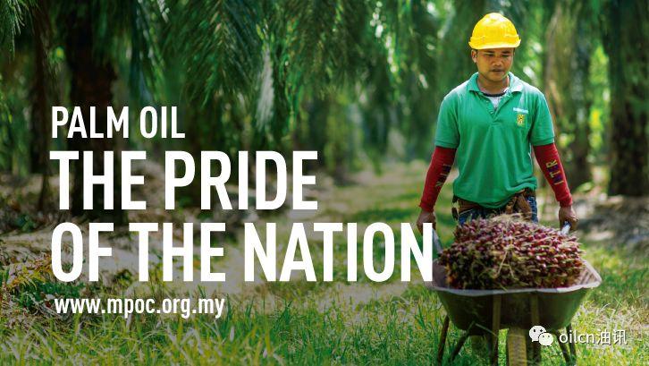【转载】油王称霸录:为什么棕榈油近几十年突然发展起来? 行业案例 第9张 【转载】油王称霸录:为什么棕榈油近几十年突然发展起来? 行业案例 第9张