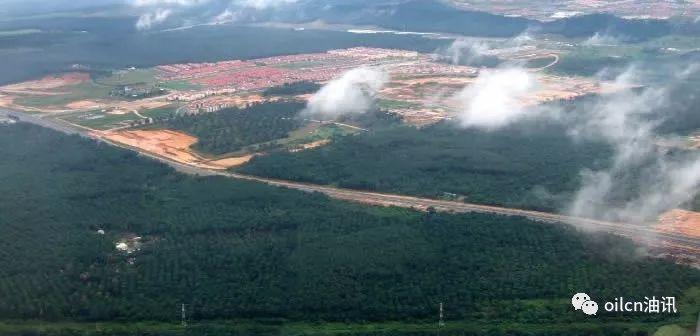 【转载】油王称霸录:为什么棕榈油近几十年突然发展起来? 行业案例 第10张 【转载】油王称霸录:为什么棕榈油近几十年突然发展起来? 行业案例 第10张