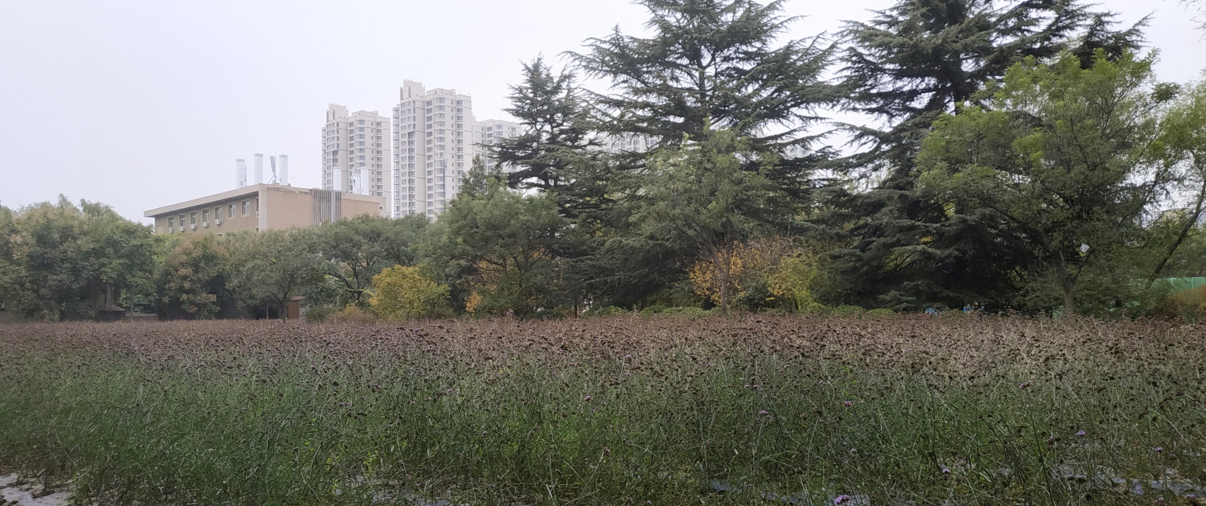 出差兰州感受西北师范大学历史与风景 工作思考 第6张 出差兰州感受西北师范大学历史与风景 工作思考 第6张