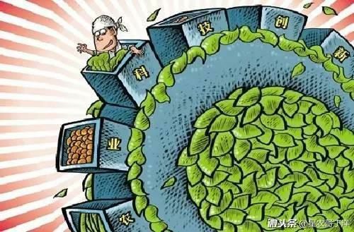 品牌农业面临的痛点 行业案例 第3张 品牌农业面临的痛点 行业案例 第3张