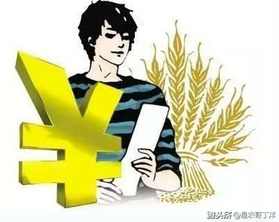 品牌农业面临的痛点 行业案例 第4张 品牌农业面临的痛点 行业案例 第4张