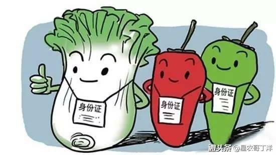 品牌农业面临的痛点 行业案例 第7张 品牌农业面临的痛点 行业案例 第7张