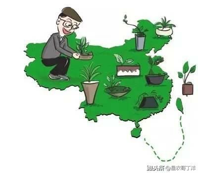 品牌农业面临的痛点 行业案例 第8张 品牌农业面临的痛点 行业案例 第8张