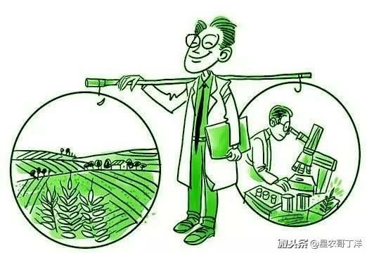 品牌农业面临的痛点 行业案例 第5张 品牌农业面临的痛点 行业案例 第5张