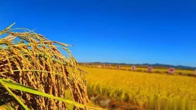 农产品销售六大痛点 行业案例 农产品销售六大痛点 行业案例