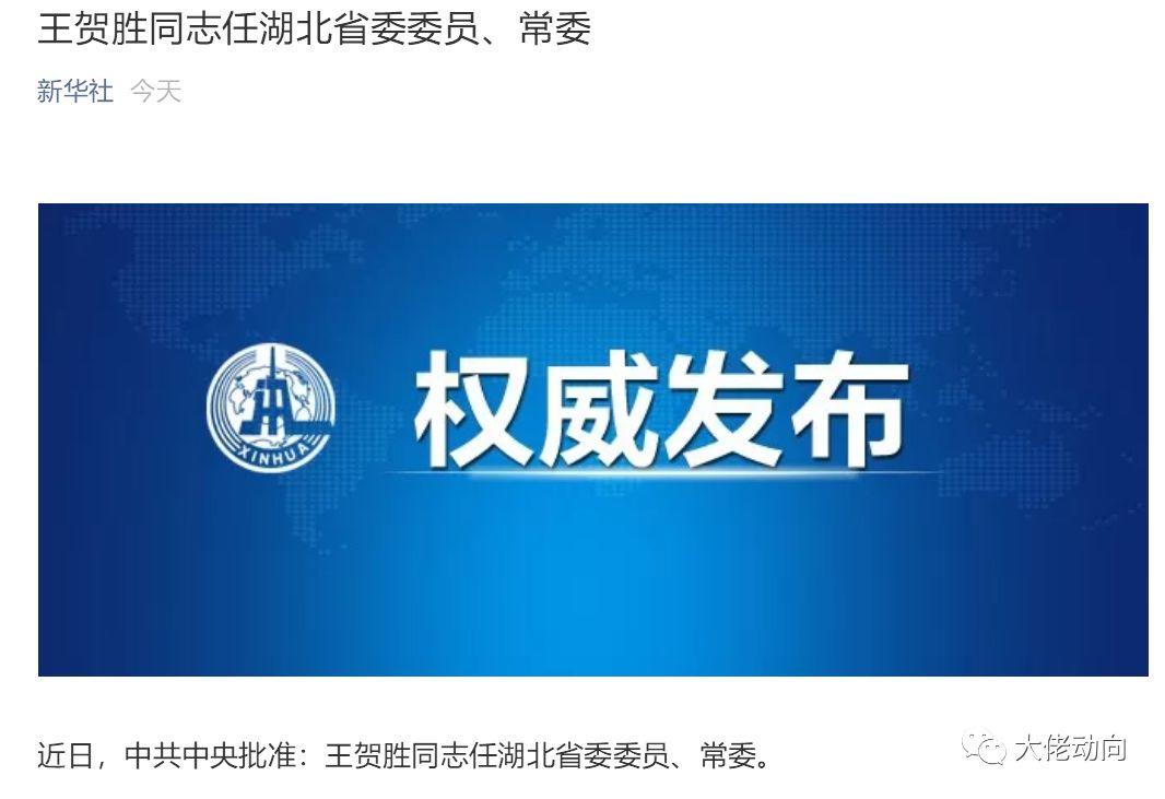 新冠肺炎疫情中政府里高人的决策 生活思索 第2张 新冠肺炎疫情中政府里高人的决策 生活思索 第2张