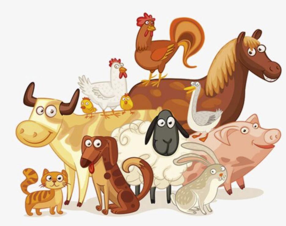 外表光鲜背后的苦难只有自己清楚 生活思索 外表光鲜背后的苦难只有自己清楚 生活思索