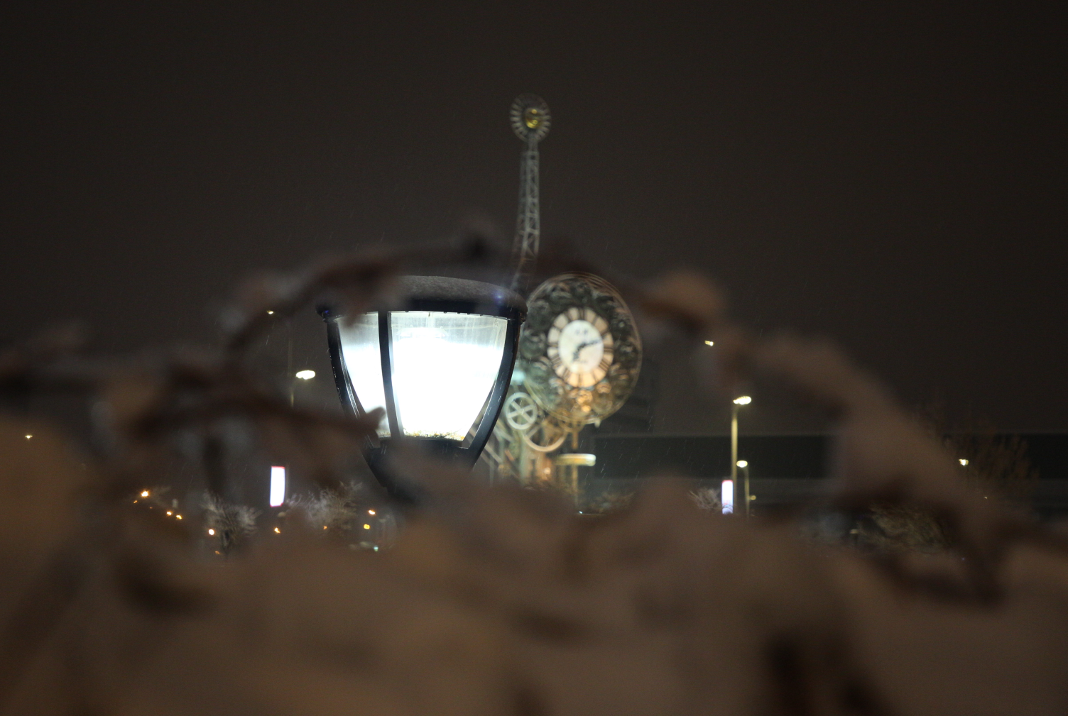 春雪中的天津 旅行札记 第9张 春雪中的天津 旅行札记 第9张